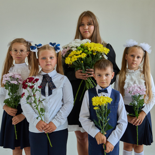 Хризантема кустовая МИКС ПОШТУЧНО арт. 19