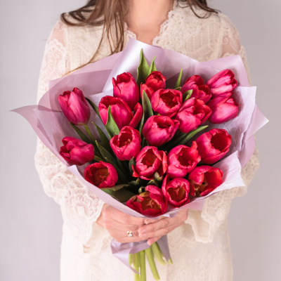 Букет из 19 малиновых тюльпанов в упаковке 59900