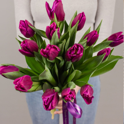 Букет из 15 малиновых тюльпанов 28774