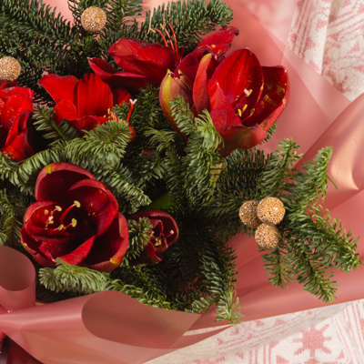 Букет Волшебный с амариллисом и еловыми ветками N 72277