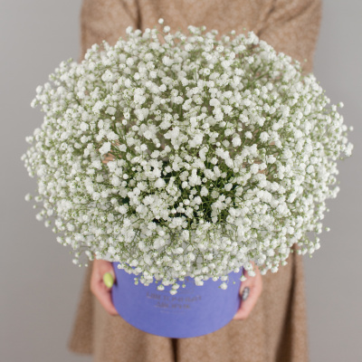 Коробка с гипсофилой белая N 50464