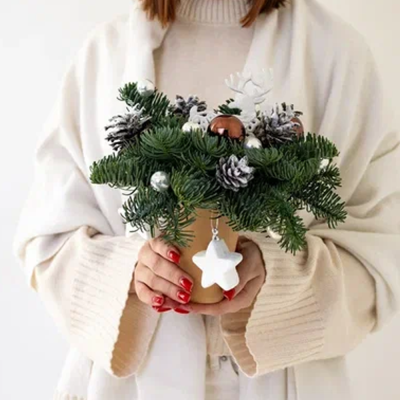 Композиция из еловых веток в стаканчике "Сказочный олень" N 90862